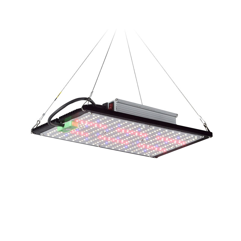 Indoor Plants - LED-Quantum-Board-Pflanzenlampe, Vollspektrum-Hängeleuchte zur ergänzenden Beleuchtung von