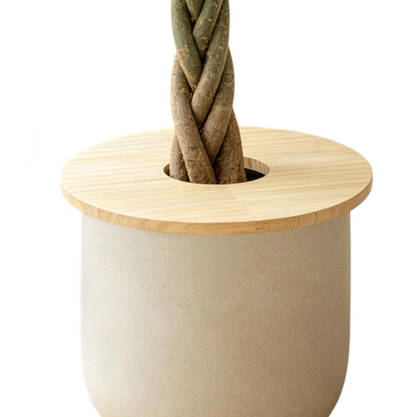 Blumentopf-Abdeckungen aus Hol – Terracotta Pot Bewertung und Preis