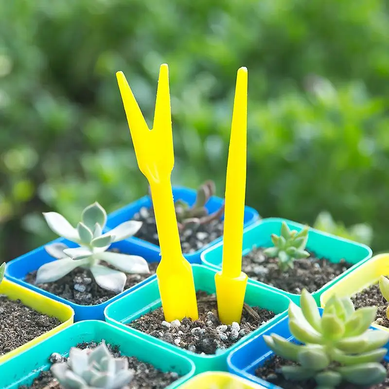 1/10Pcs Aussaat Sukkulenten Tr – Succulent Set Bewertung und Preis