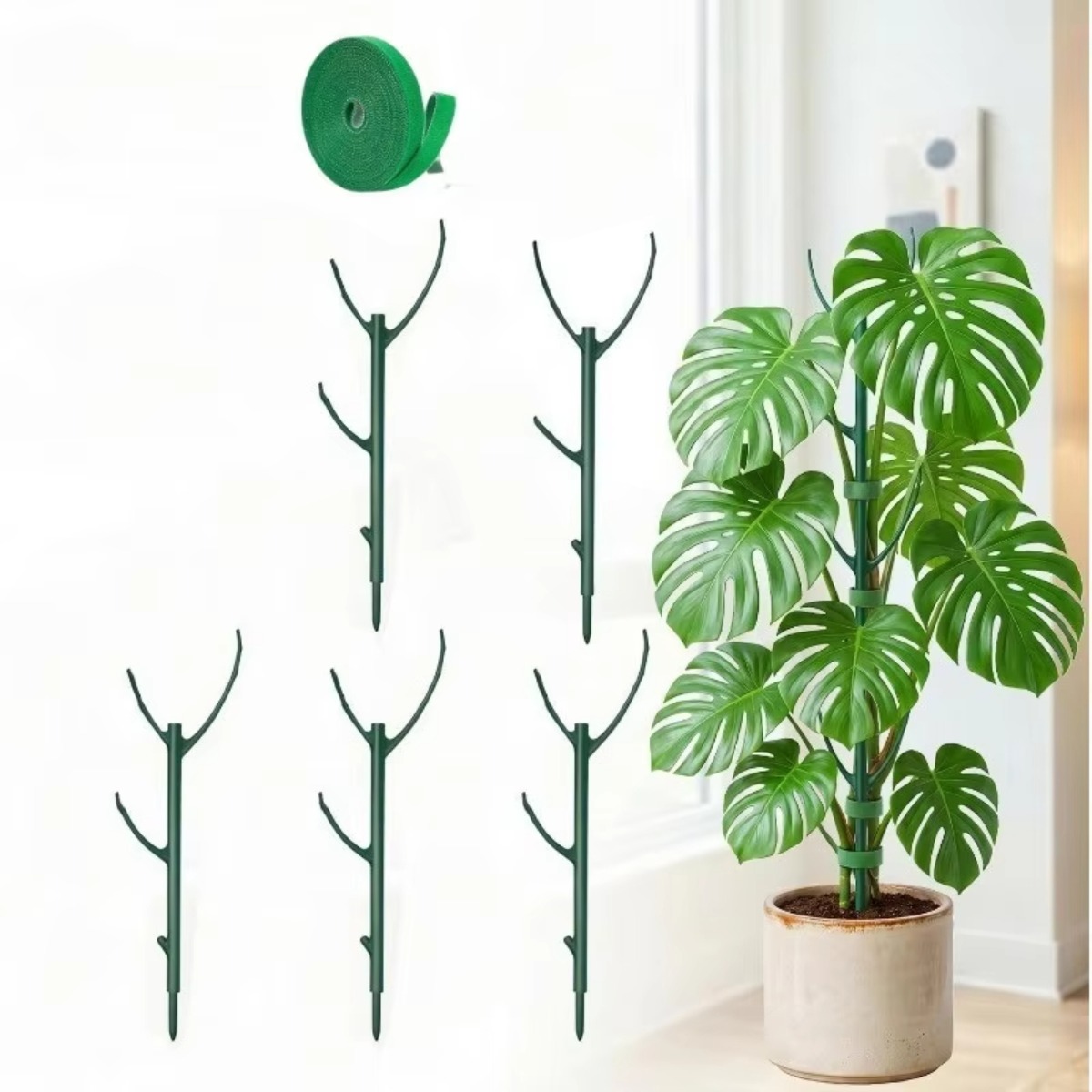 6-teiliges Monstera-Pflanzenst – Plant Support Stake Bewertung und Preis