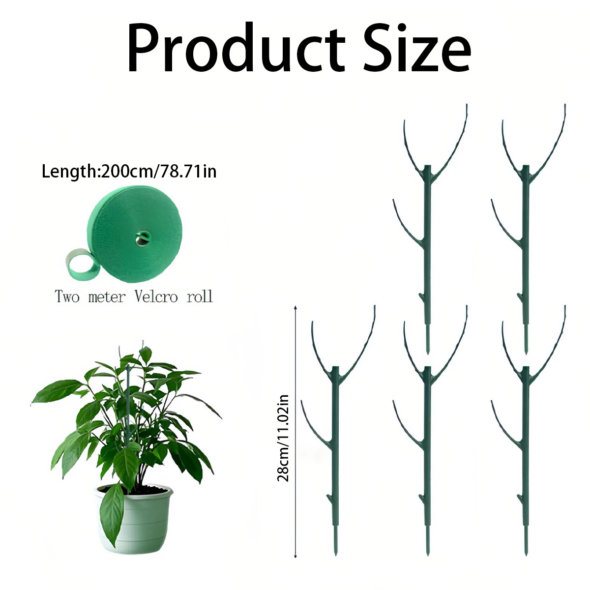 6-teiliges Monstera-Pflanzenst – Plant Support Stake Bewertung und Preis