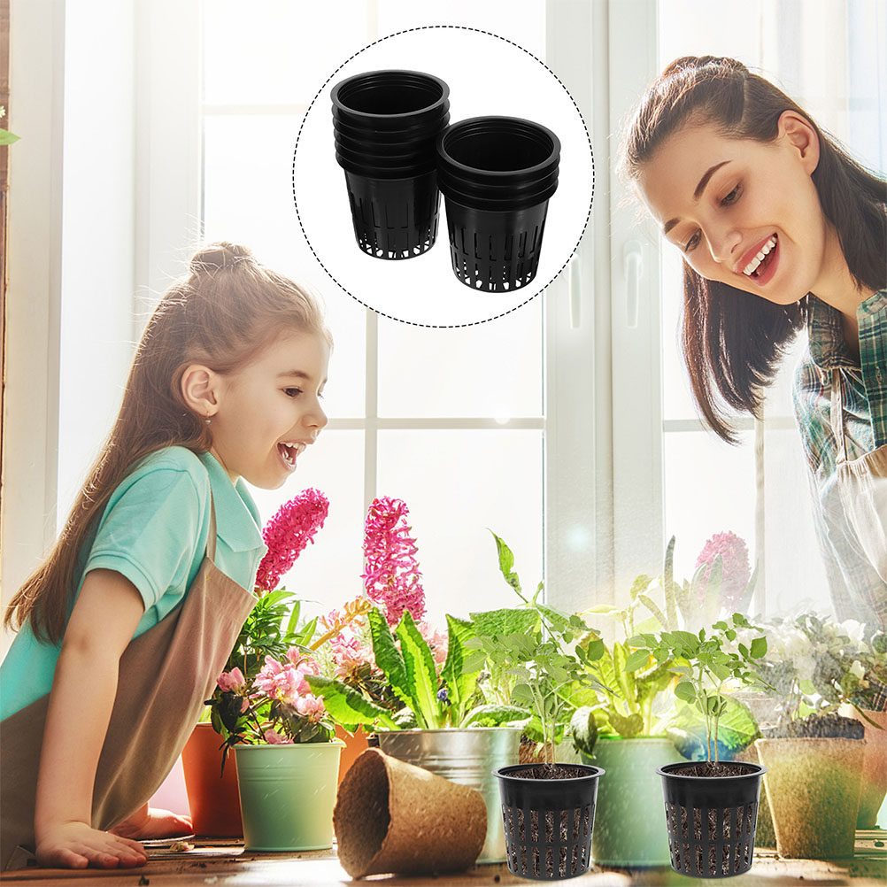 15 Stück Hydrokultur-Pflanzenk – Indoor Plants Bewertung und Preis