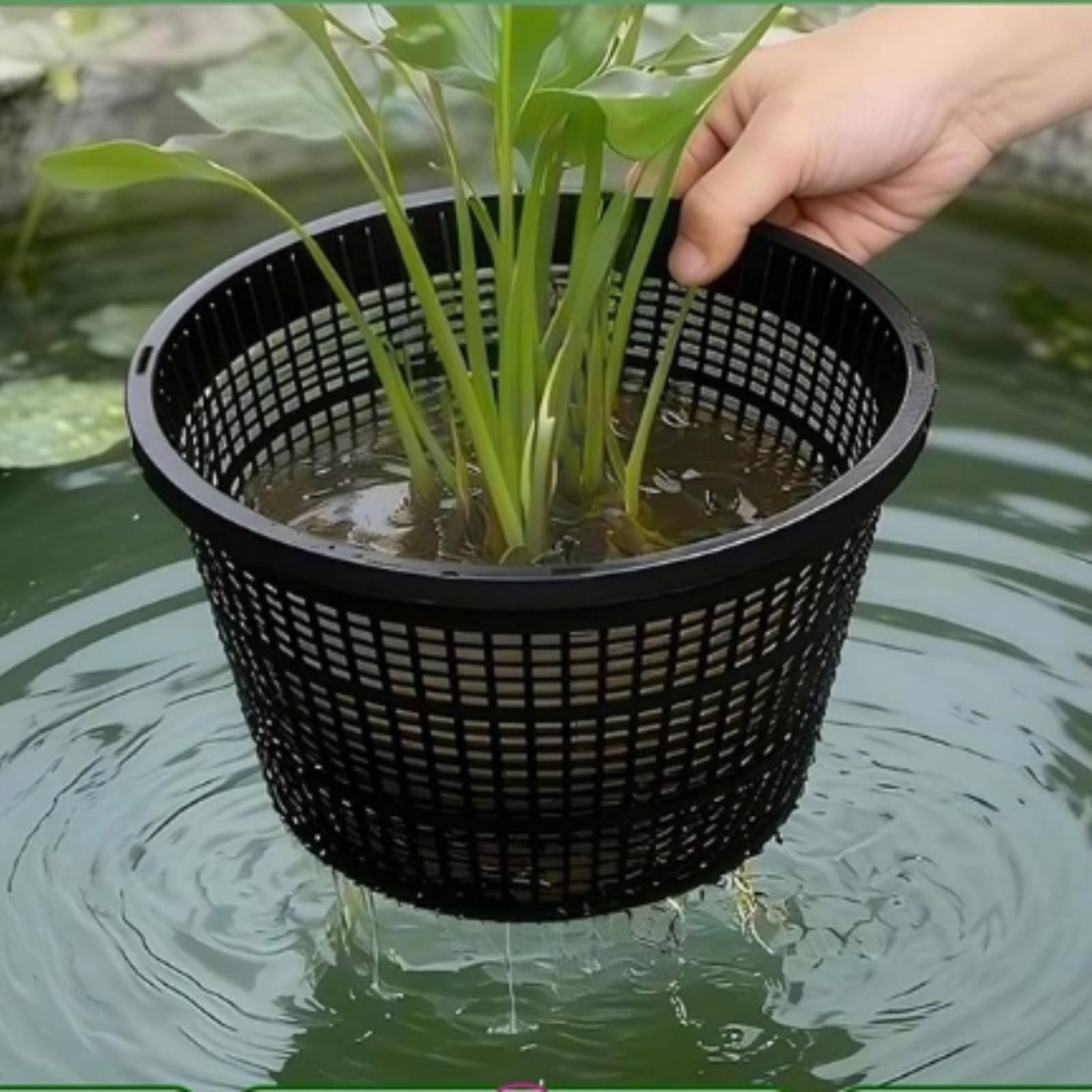 Hydroponischer Pflanztopf mit  – Plant Pot Bewertung und Preis