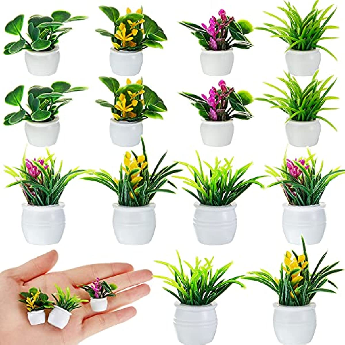 Puppenhaus-Pflanze, Miniatur-B – Terracotta Pot Bewertung und Preis