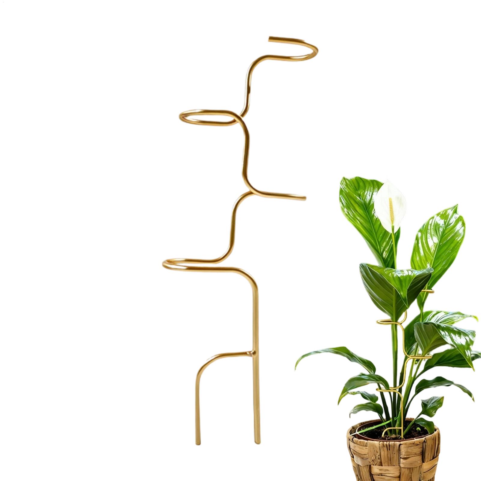 Gartenpflanzen-Stielfixierungs – Plant Support Stake Bewertung und Preis