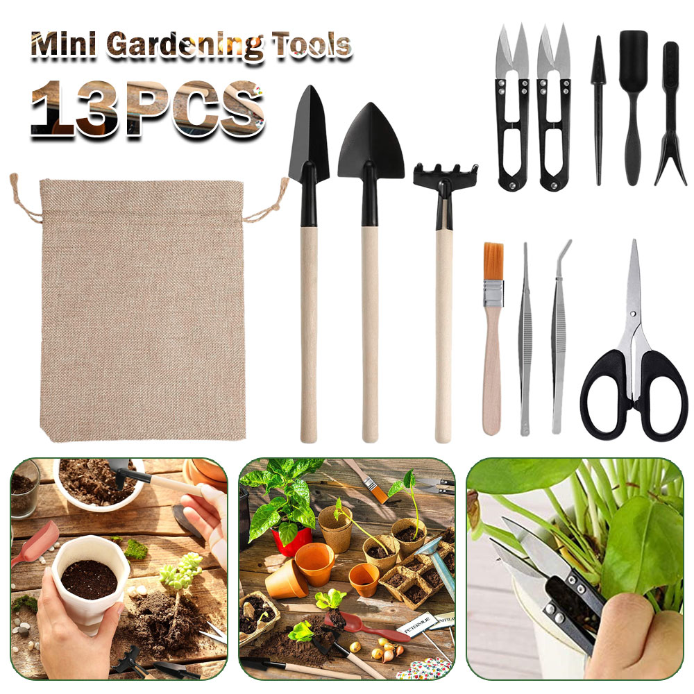 Sukkulenten Werkzeuge Mini Gar – Succulent Set Bewertung und Preis